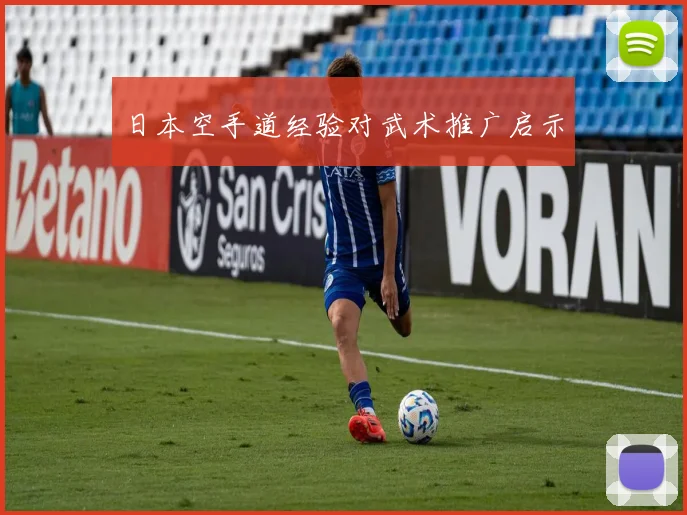 日本空手道经验对武术推广启示