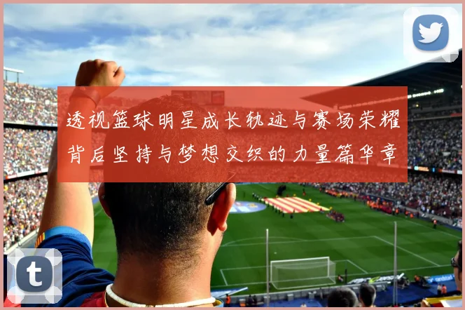 透视篮球明星成长轨迹与赛场荣耀背后坚持与梦想交织的力量篇华章