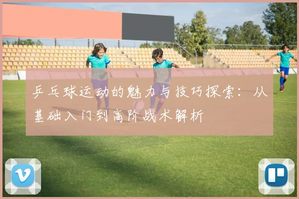 乒乓球运动的魅力与技巧探索：从基础入门到高阶战术解析