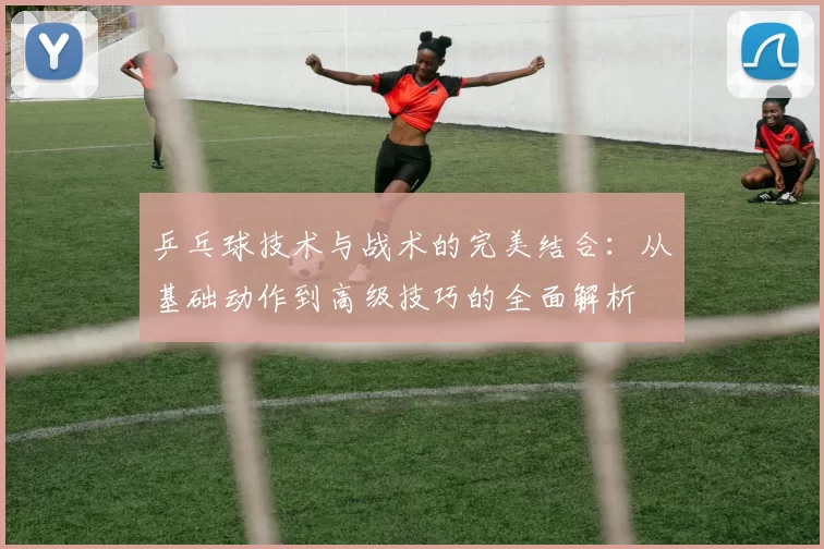 乒乓球技术与战术的完美结合：从基础动作到高级技巧的全面解析